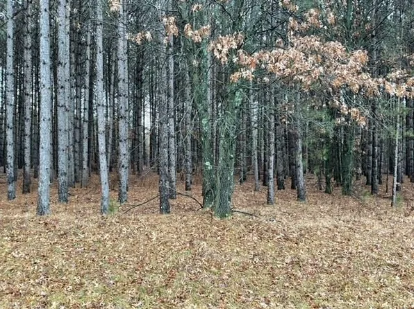 L51 Southview Drive #51, Necedah, WI 54646