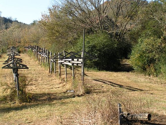 3rd image of 233 Old Sr 85 Hwy