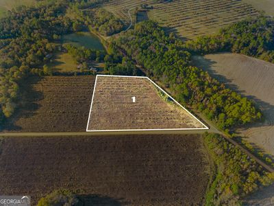 0 Waters Lane 1 #&-2, Claxton, GA, 30417