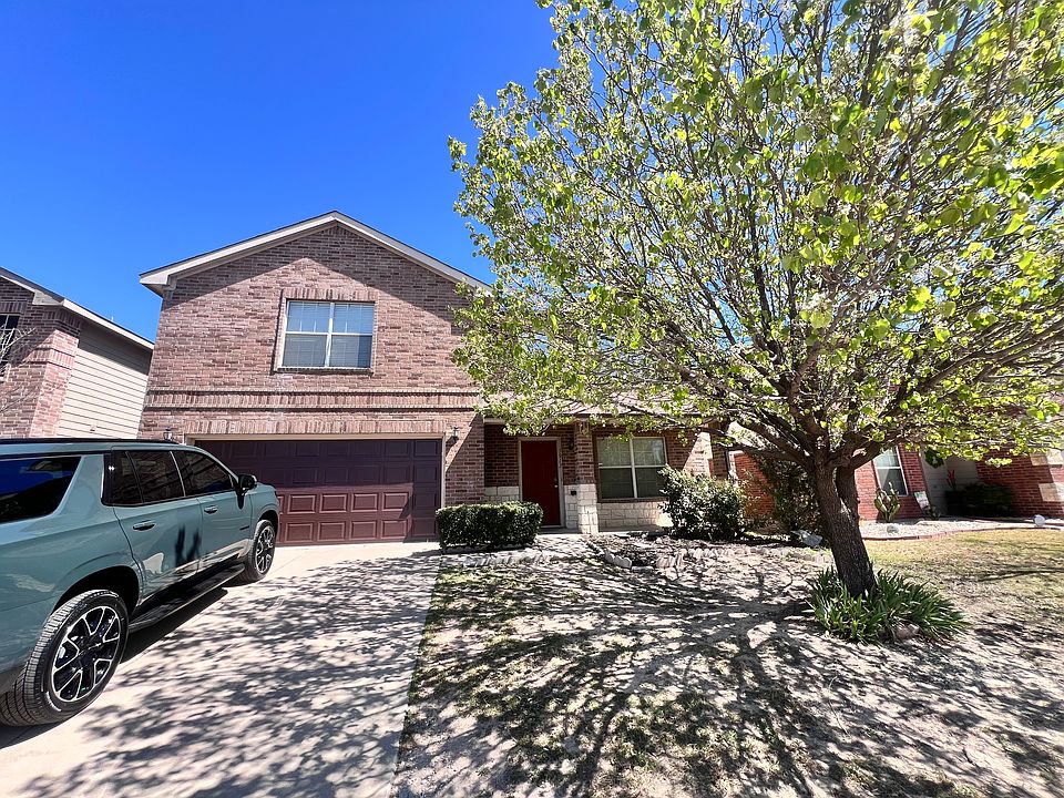 Front Yard/Driveway