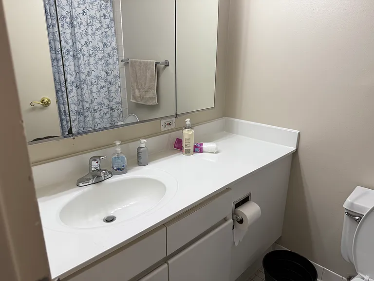 440 N Wabash Ave #910 — Photo 4