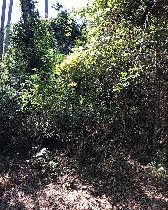1st image of Raiford Rd
