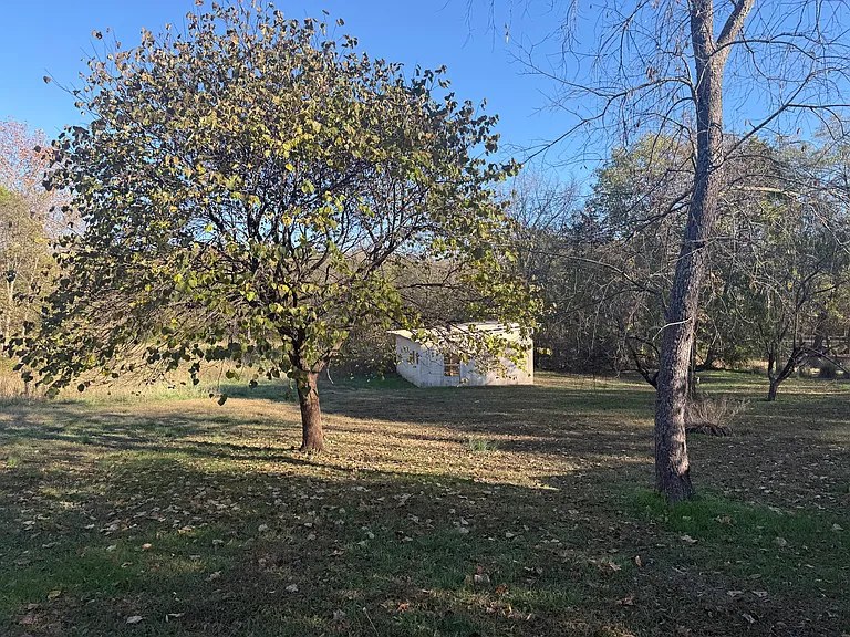 1236 E State Highway Cc — Photo 17