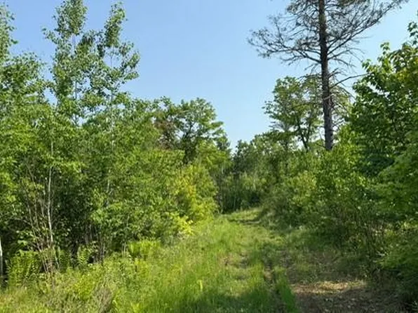 TBD County Road T, Dairyland, WI 54830