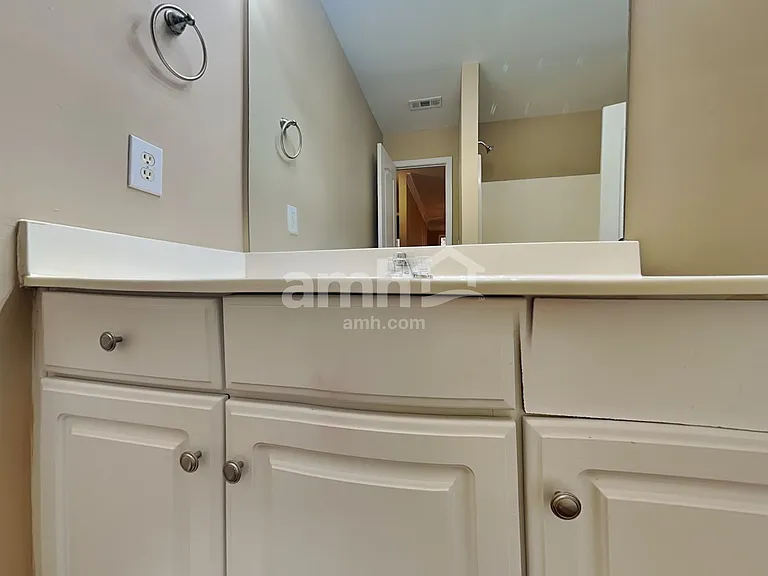 2813 Savannah Walk Cv — Photo 17