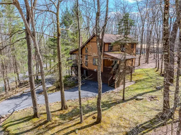 299 Lakeview Dr, Terra Alta, WV 26764