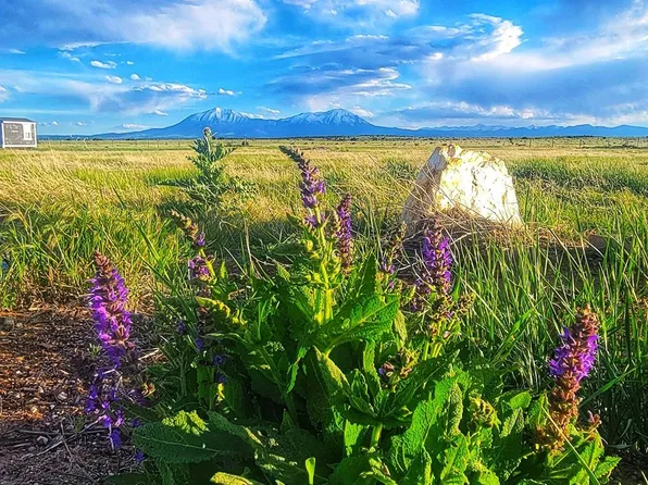 Chicosa Dr N, Walsenburg, CO 81089