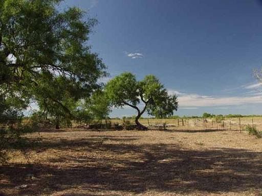 1st image of 25 ACRES CR 341