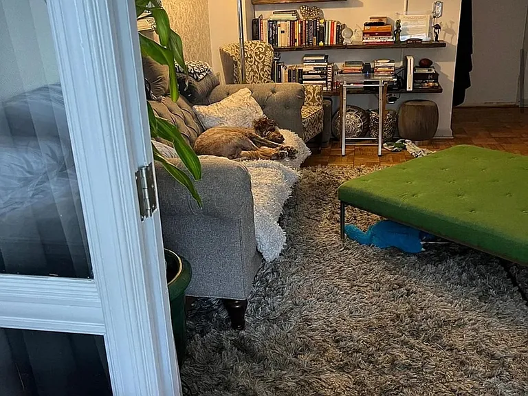 1 Scott Cir #317 — Photo 6