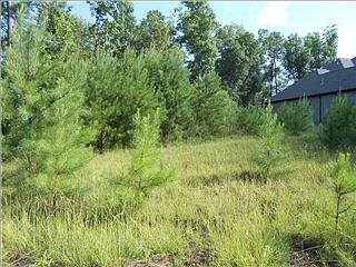 1st image of 4241 Monarch Cir