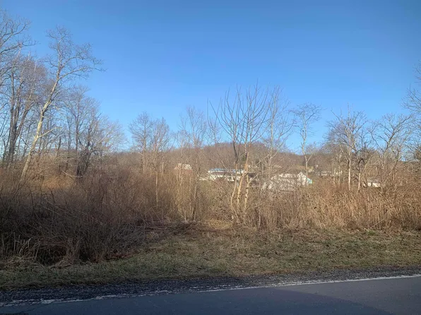 Hazelton Rd, Bruceton Mills, WV 26525