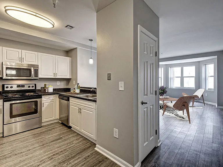New Modern Kitchen and Living