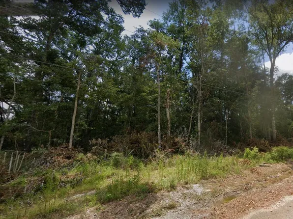 LOT 4 Lakeview Dr, Holden, LA 70744