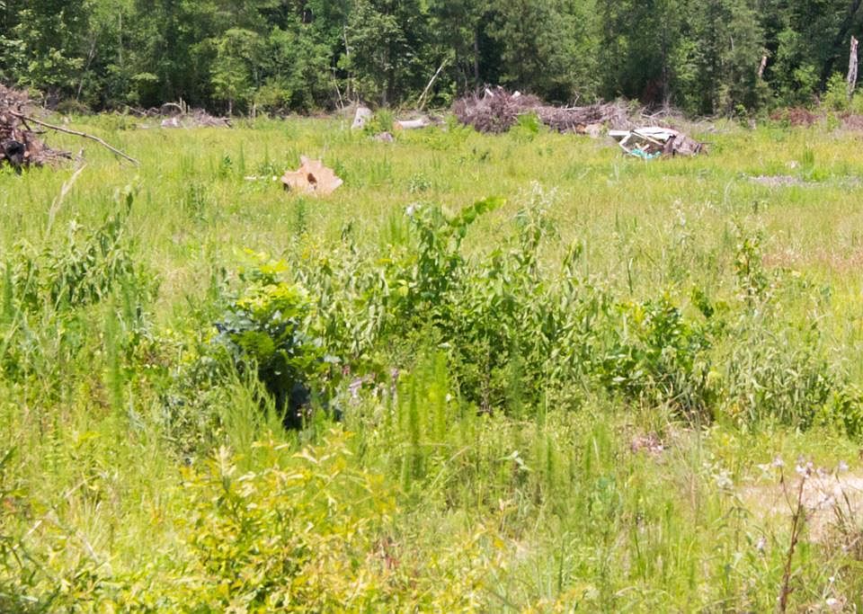 2nd image of 00 County Road 3374