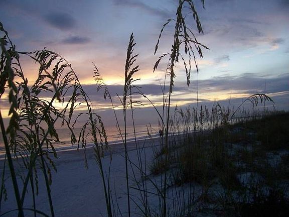 Gulf thru sea oats