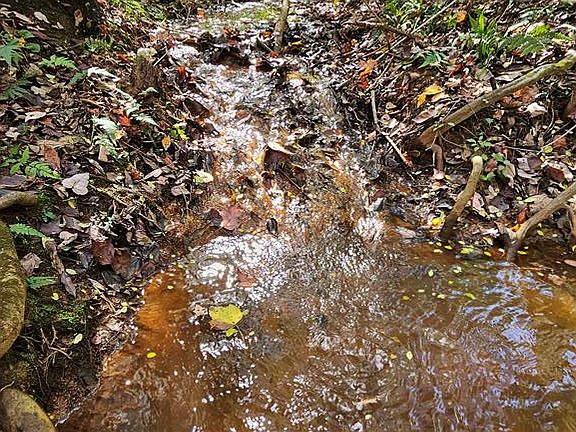 4th image of 290 Acres Hwy #431