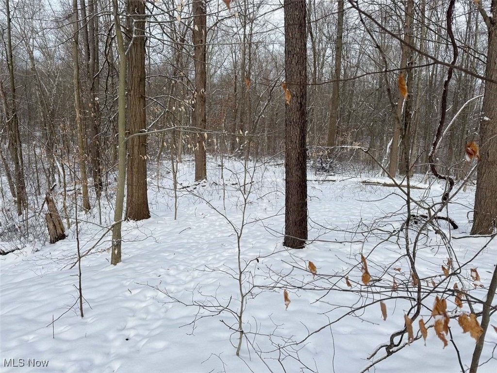 Real estate listing image