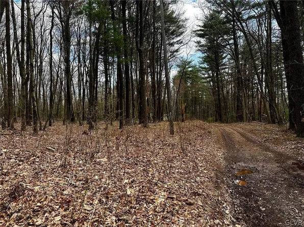 Off Lr #45091, Kunkletown, PA 18058