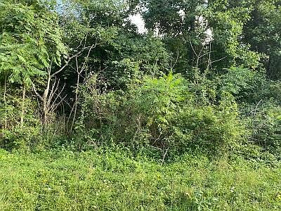 2nd image of 0 Mountain Rd