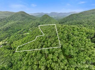 99999 Little Pisgah Rd, Gerton, NC 28735