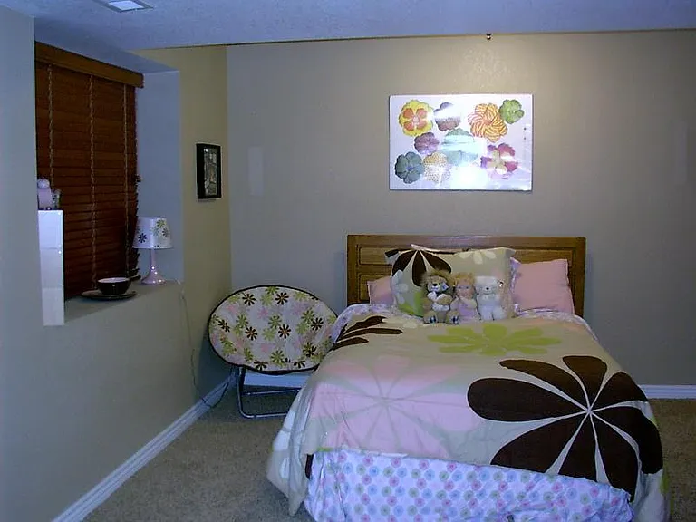 Downstairs Jr. Master Suite