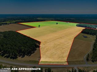 1 Joe Wells Rd, Buena Vista, GA 31803