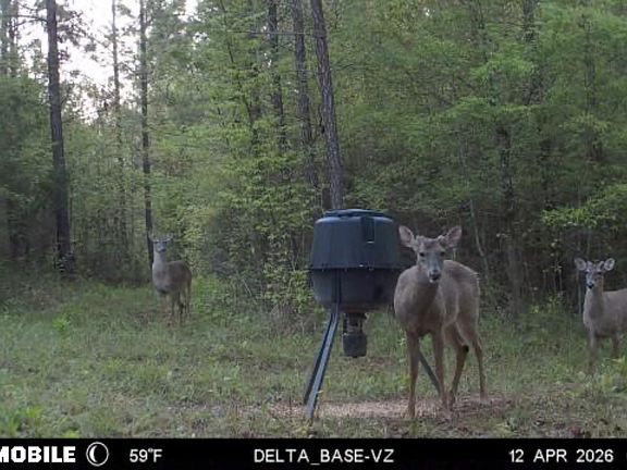 3rd image of Jordon Rd