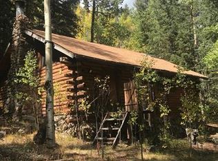 907 Hefferman Gulch Rd, Idaho Springs, CO 80452