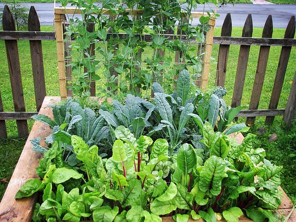 Easy to maintain raised beds