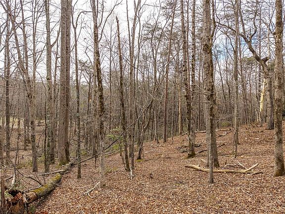 4th image of LOT 167 Henderson Mountain Rd