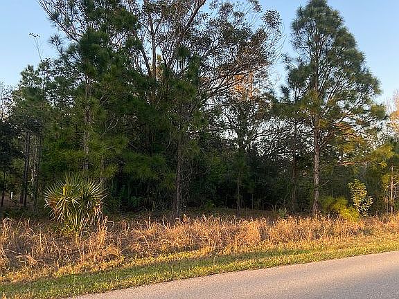 5th image of 28174 Chinquapin Dr