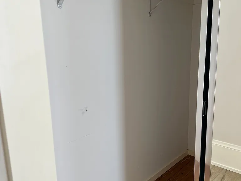 closet in the back bedroom
