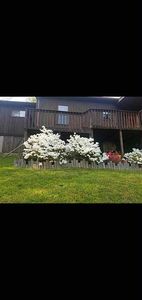 460 Little Shepherd Trl, Baxter, KY, 40806