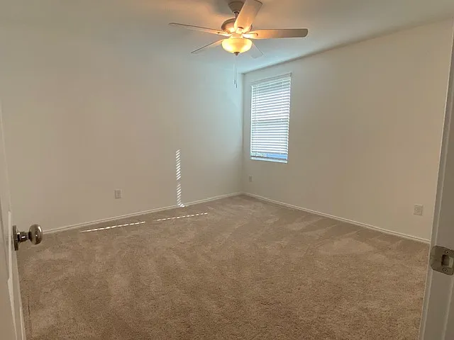 3232 Peyton Lila Rd — Photo 10