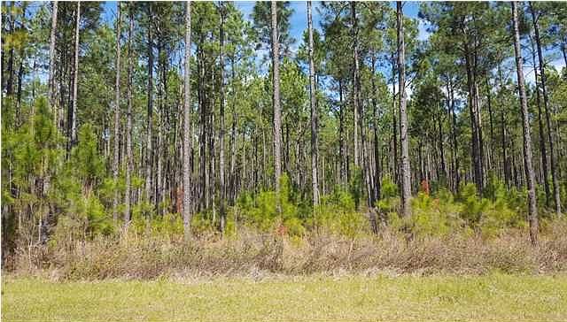 1st image of 186 Widewater Cir