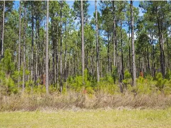 111 Widewater Cir, Wewahitchka, FL 32465