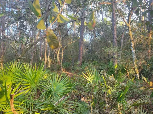 408 WHISPERING PINES ROAD LOT 21, GEORGETOWN, FL 32139