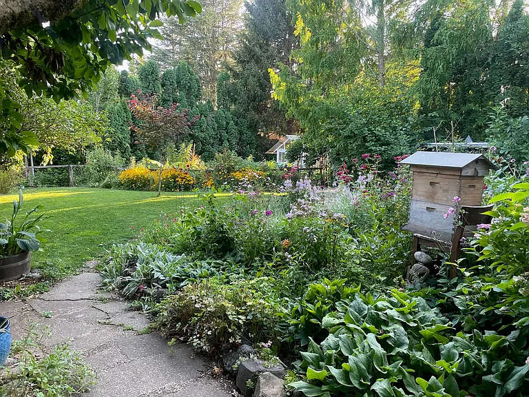 View of the front yard from the front door walkway