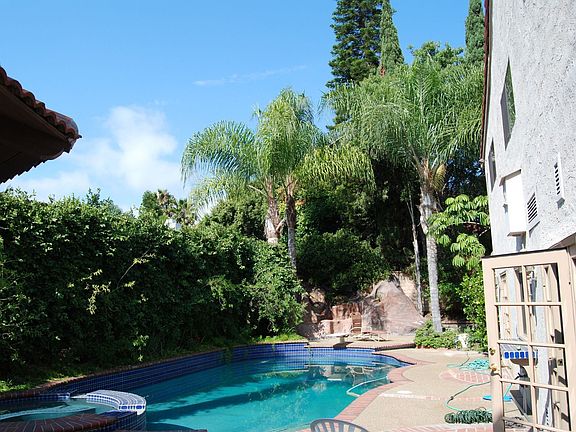 Park-like backyard completely private