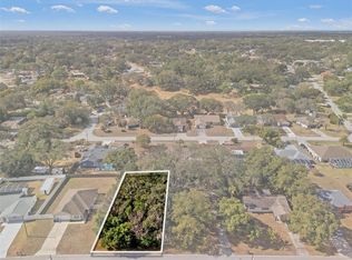 9028 Horizon Dr LOT 20, Spring Hill, FL 34608