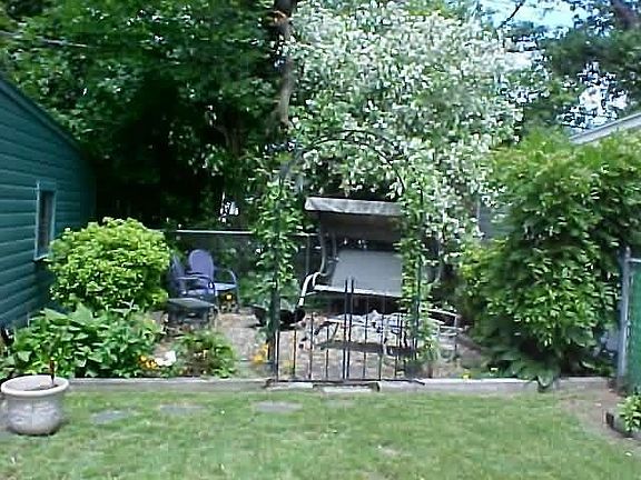 Backyard Garden area