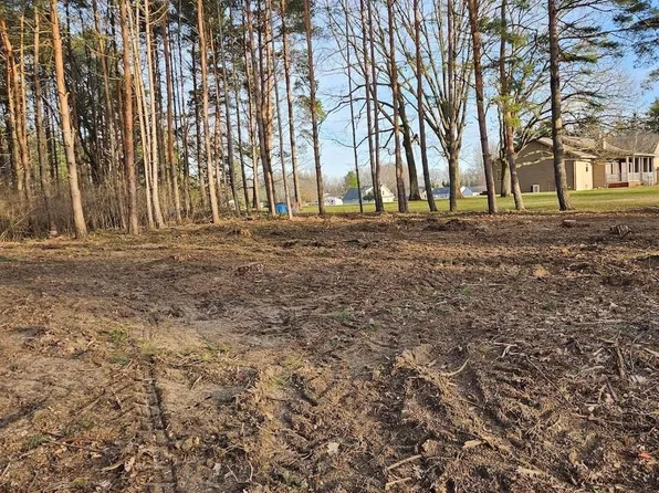 1015 Bundy Dr, Weidman, MI 48893