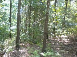 Summerfield Dr, Springville, TN 38256