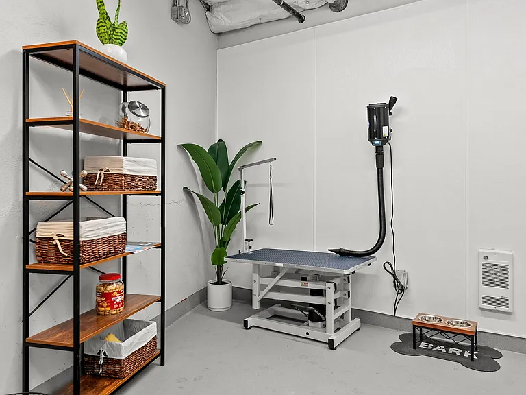 Pamper your pets: Our pet spa offers treats and a vacuum station for a clean and happy grooming experience. ___
