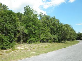 11115 N Morrell Dr, Citrus Springs, FL 34434