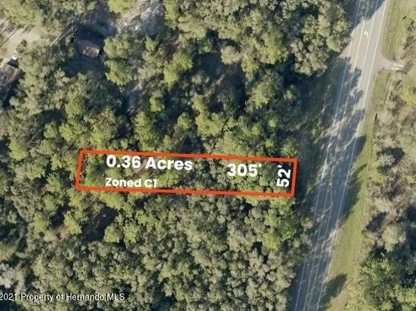 0 Treiman Blvd, Webster, FL 33597