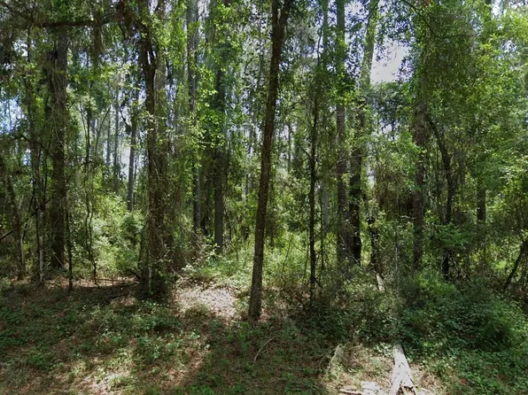 1032 E Vercelli Lane, Citrus Springs, FL 34434