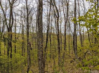 Raven Ridge Rd, Scaly Mountain, NC 28775