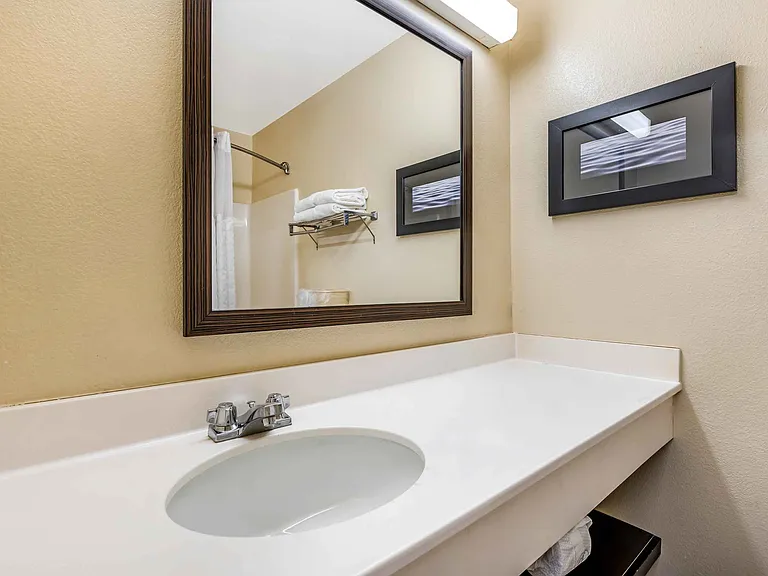 Studio Suite - 1 Queen Bed