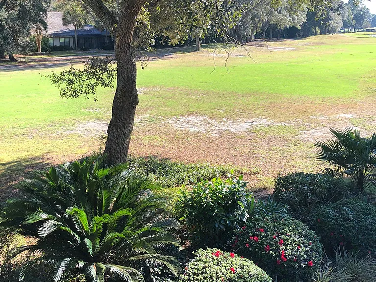 View from the back deck